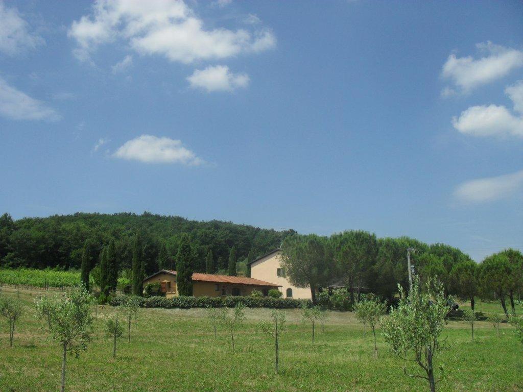 Agriturismo Podere Mulinaccio Ribolla Kültér fotó