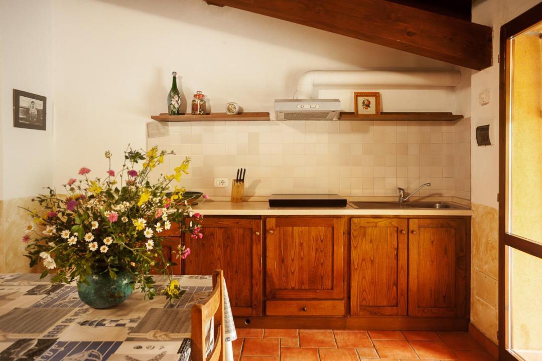 Agriturismo Podere Mulinaccio Ribolla Kültér fotó