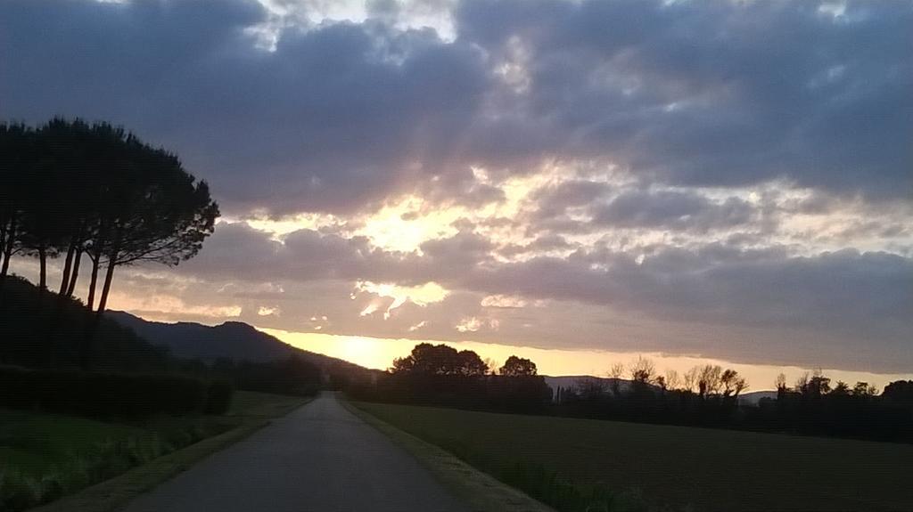 Agriturismo Podere Mulinaccio Ribolla Kültér fotó