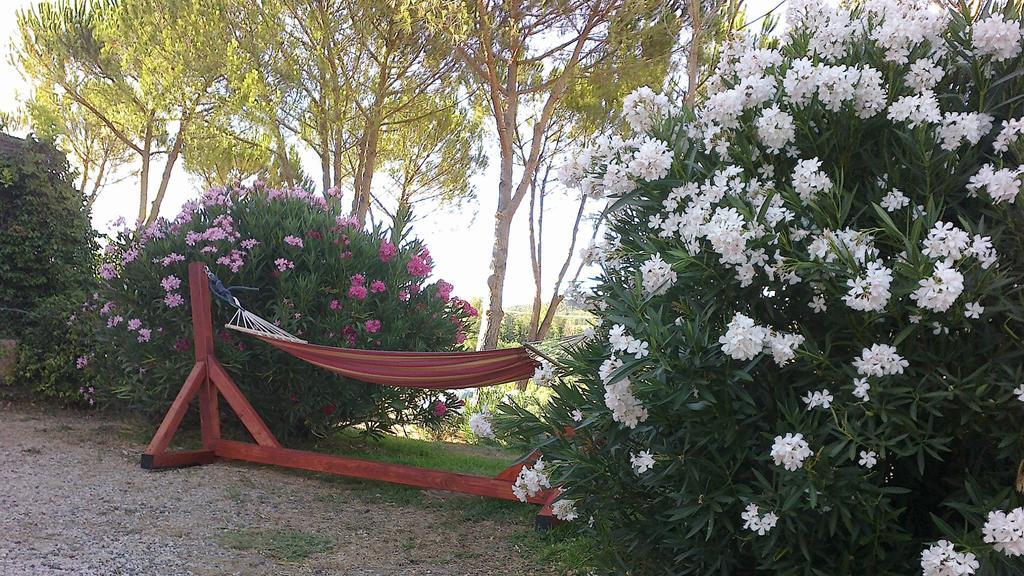 Agriturismo Podere Mulinaccio Ribolla Kültér fotó