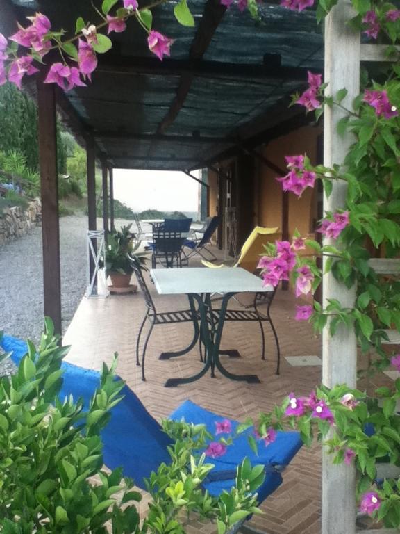 Agriturismo Podere Mulinaccio Ribolla Kültér fotó